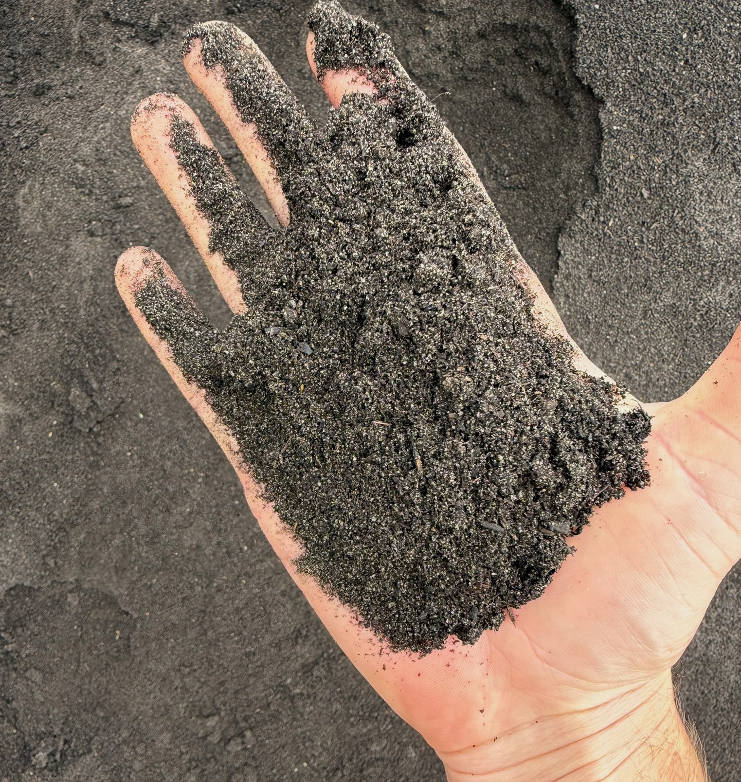 FloridaGreen Compost close-up